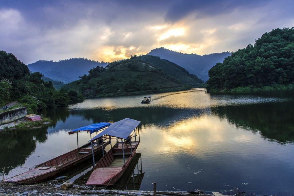Hồ Ly xanh