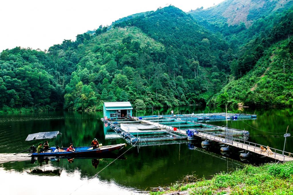 Về bản