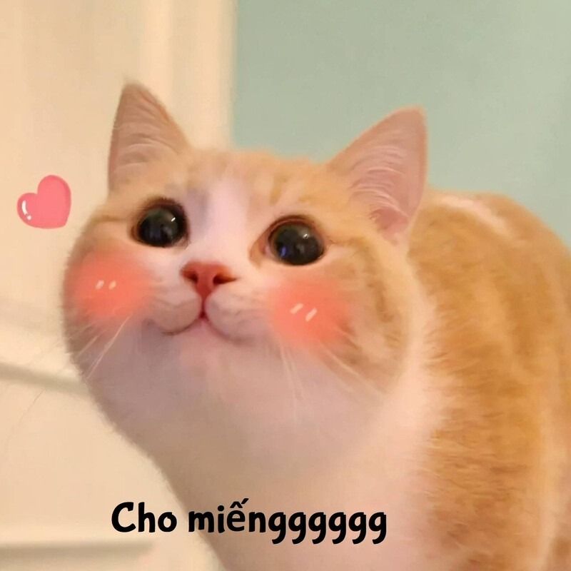 Trọn Bộ Sưu Tập Hơn 100+ Meme Dễ Thương Hay Dùng Nhất