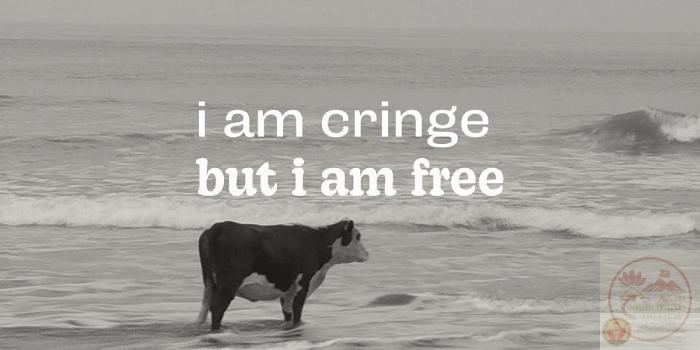 cringe ảnh hài