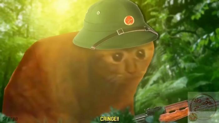 cringe báo đạo