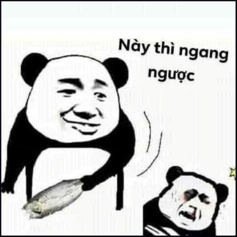 meme quýnh nhau này thì ngang ngược