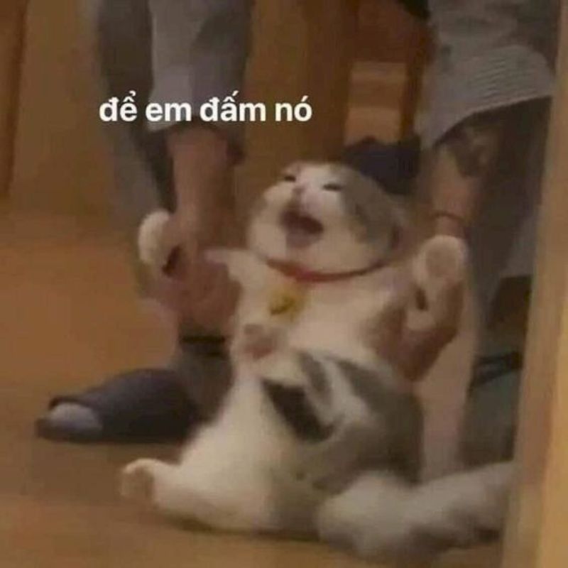 Ảnh meme ngăn đánh nhau