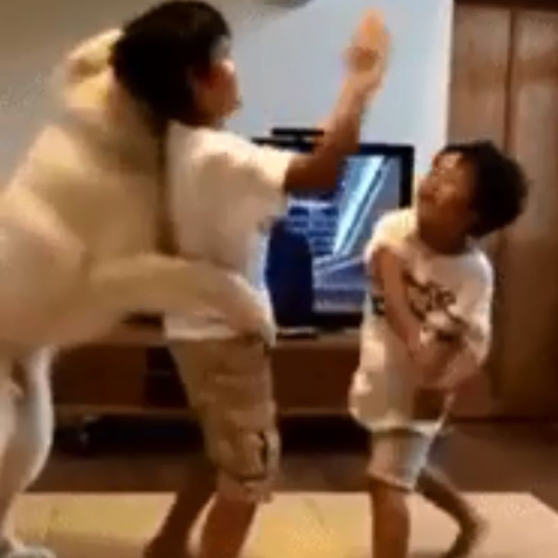 meme cho cản đánh nhau hài hước