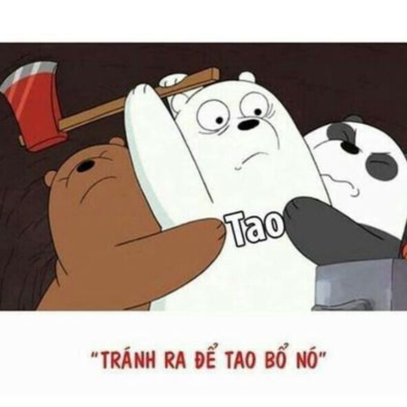 meme cản đánh nhau vô tri