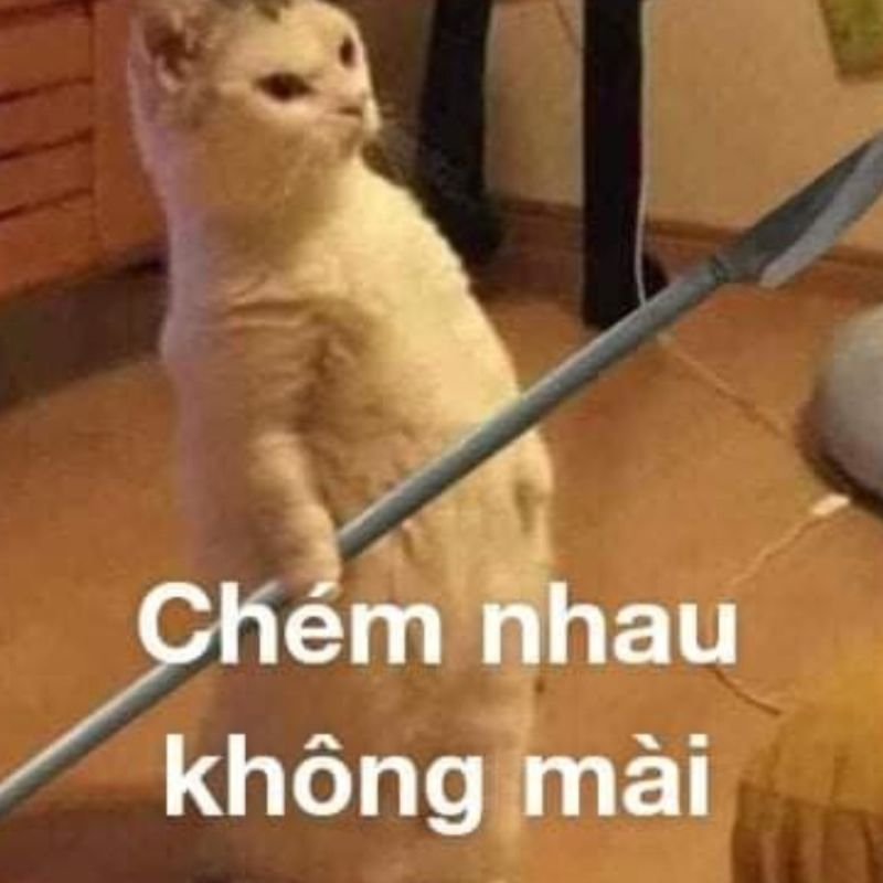 meme chém nhau không mày
