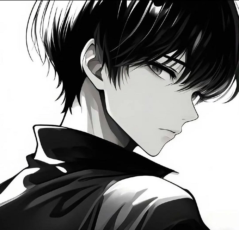 Avatar đôi anime đen trắng dành cho cặp đôi trẻ