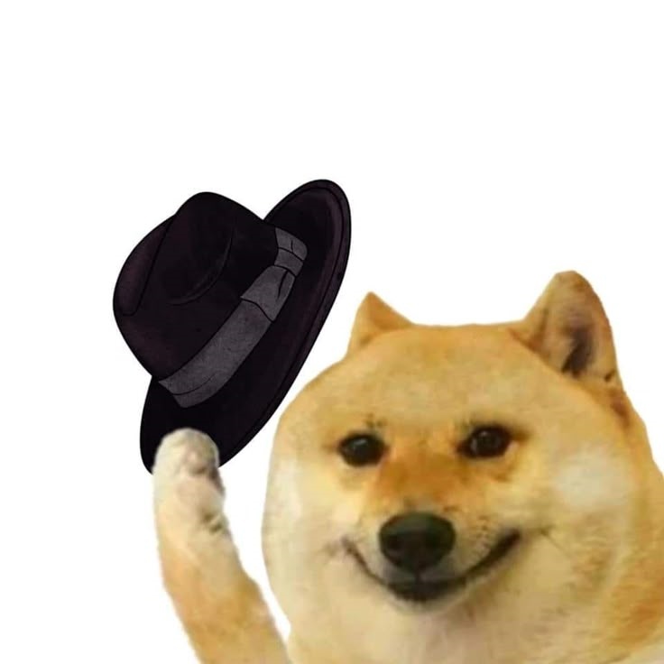 Meme Cheems