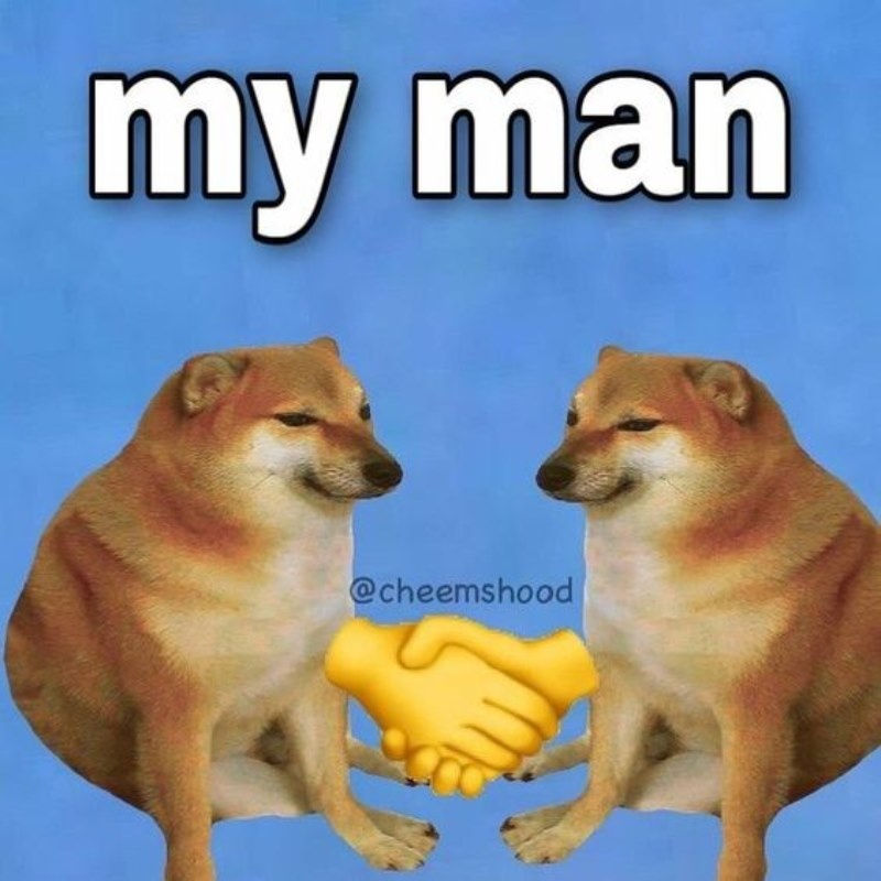 Meme Cheems