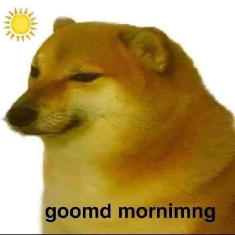 Meme Cheems