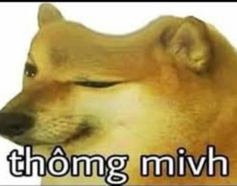 Meme Cheems