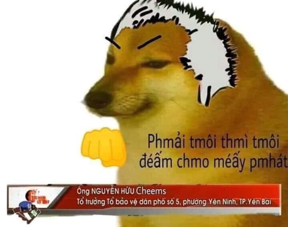 Meme Cheems