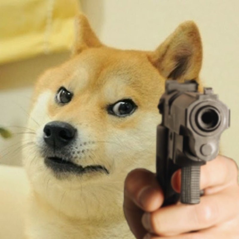 Meme Cheems
