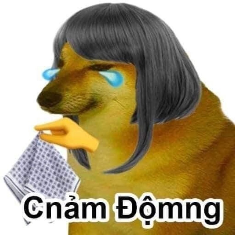 Meme Cheems