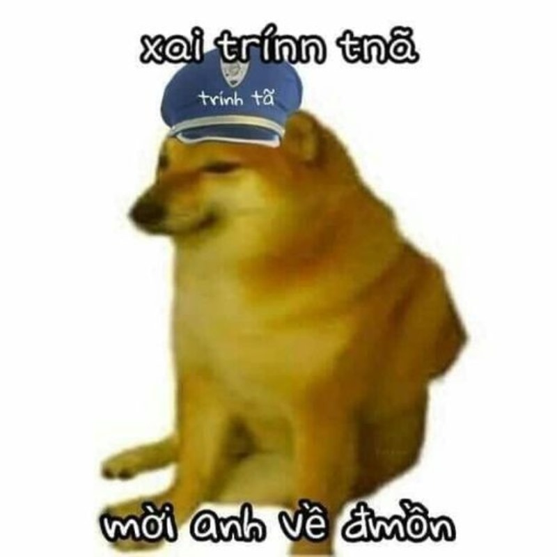 Meme Cheems