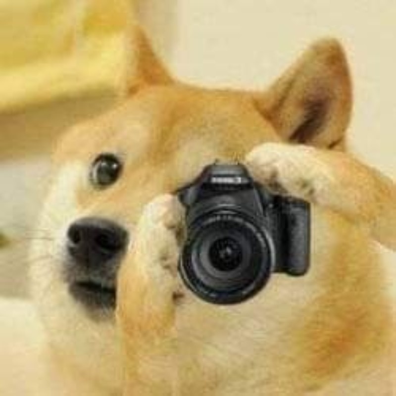 Meme Cheems