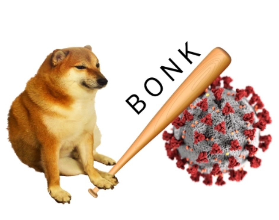 Meme Cheems
