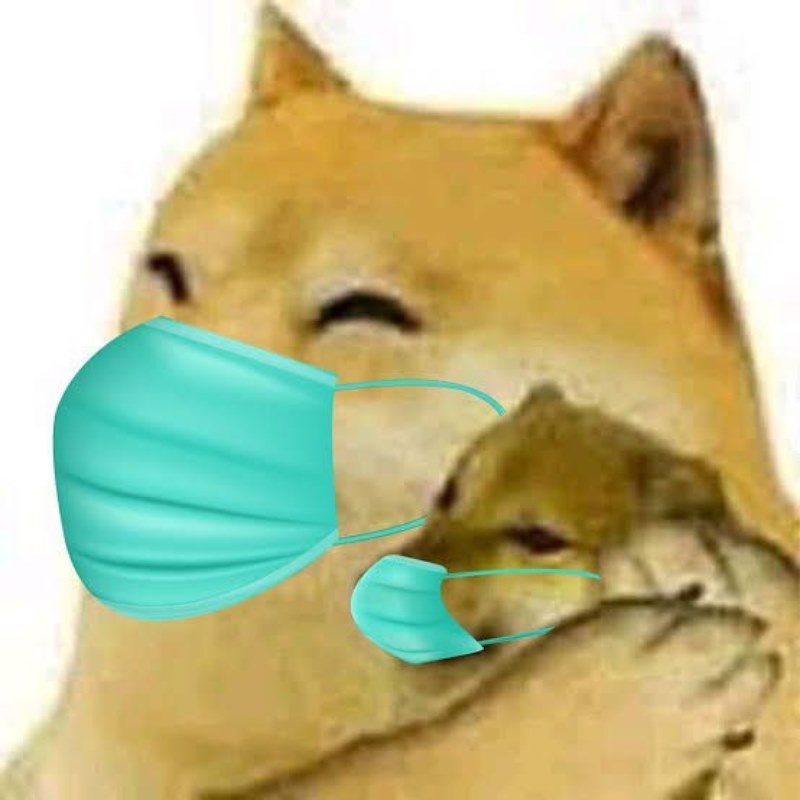 Meme Cheems