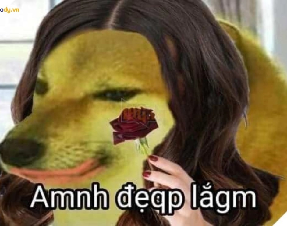 Meme Cheems