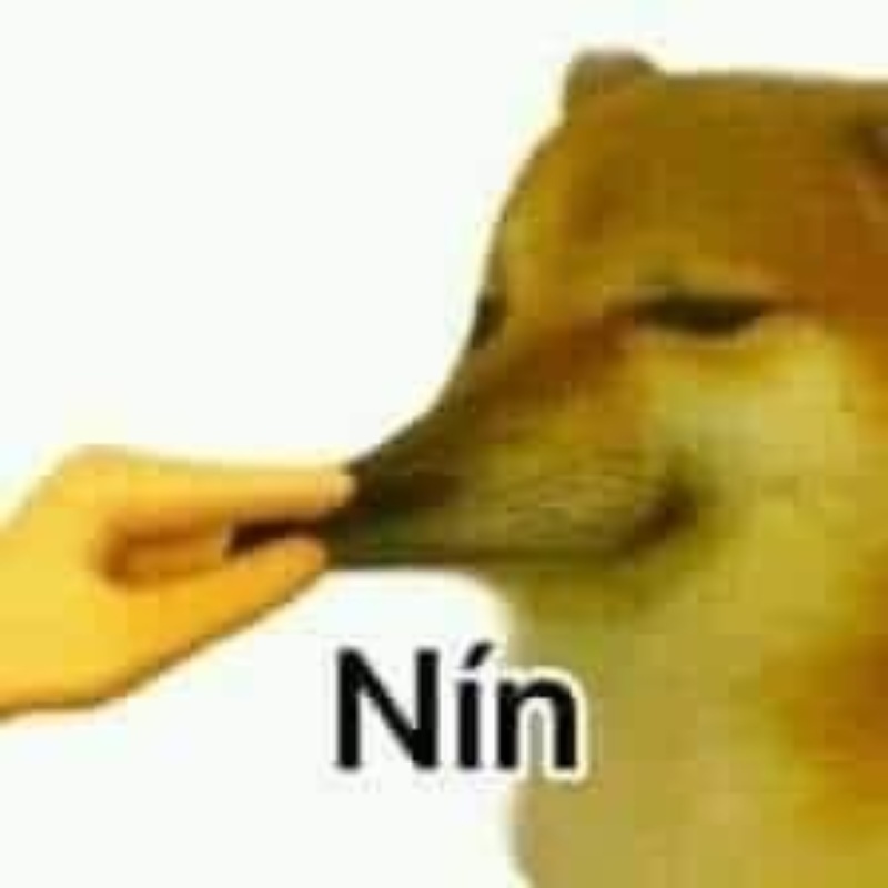Meme Cheems