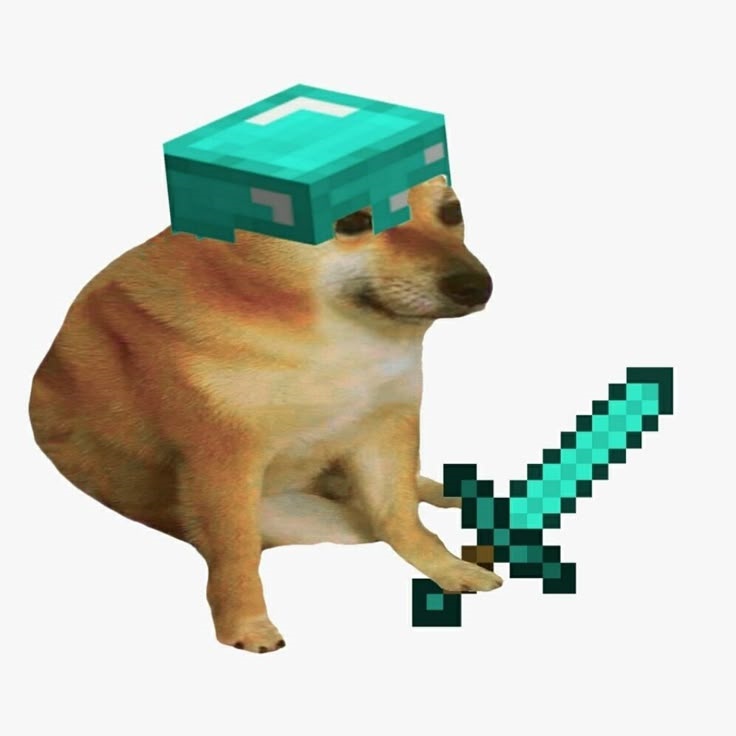 Meme Cheems