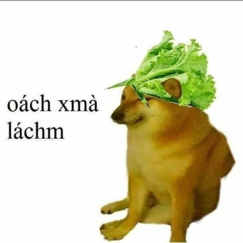 Meme Cheems