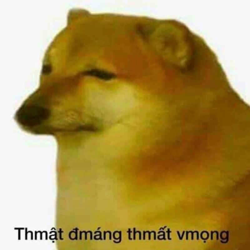 Meme Cheems