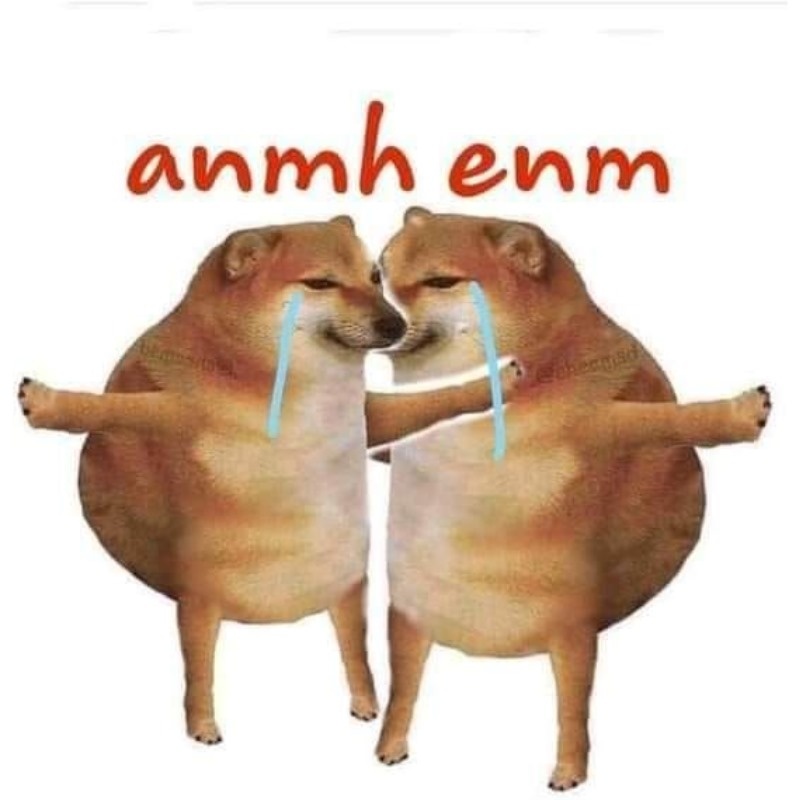 Meme Cheems