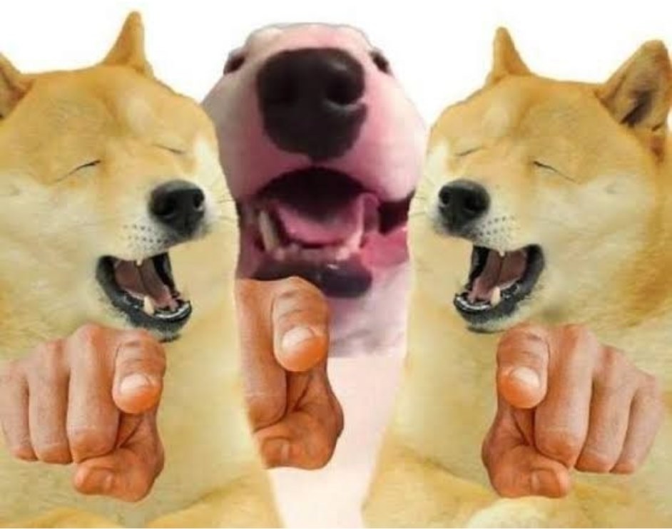 Meme Cheems