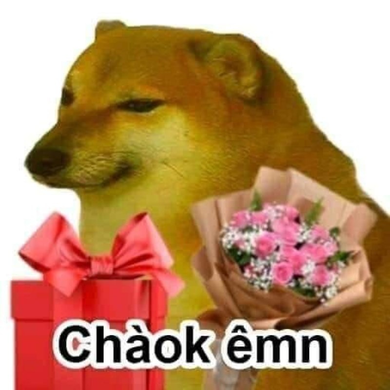 Meme Cheems