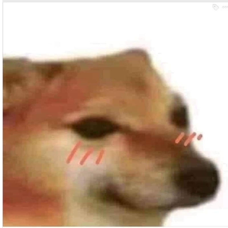 Meme Cheems