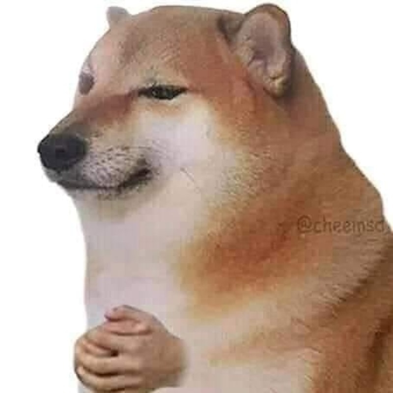 Meme Cheems