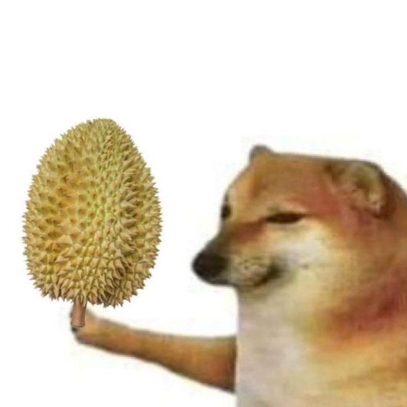 Meme Cheems