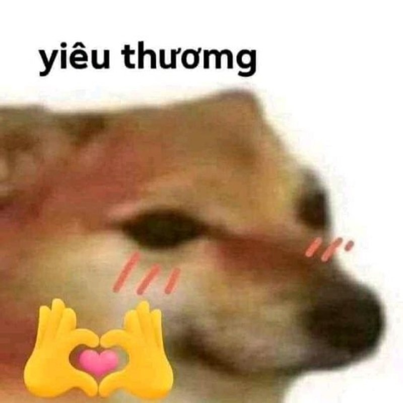Meme Cheems