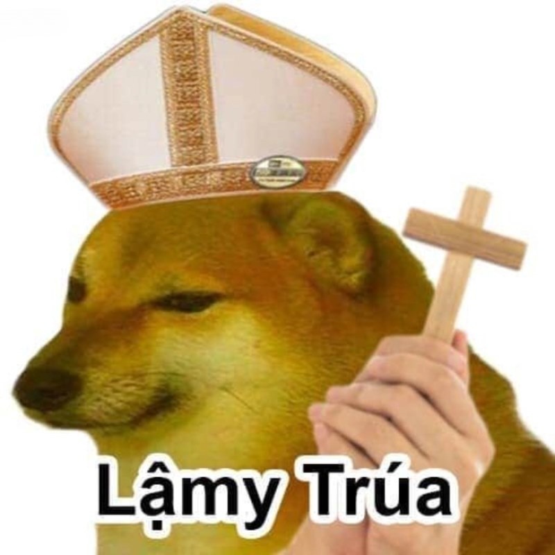Meme Cheems