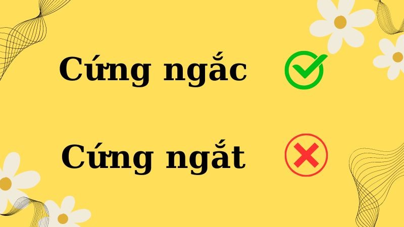 Cứng ngắc hay cứng ngắt? Giải đáp lỗi chính tả Tiếng Việt phổ biến