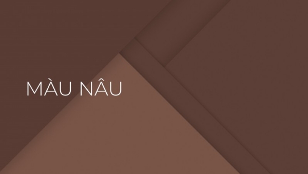 Màu nâu là màu gì? Ý nghĩa và Các loại màu nâu phổ biến