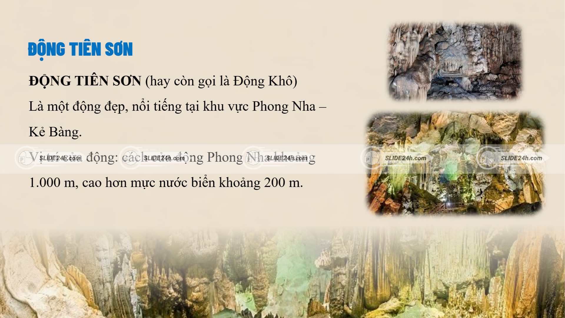 động sơn tiên